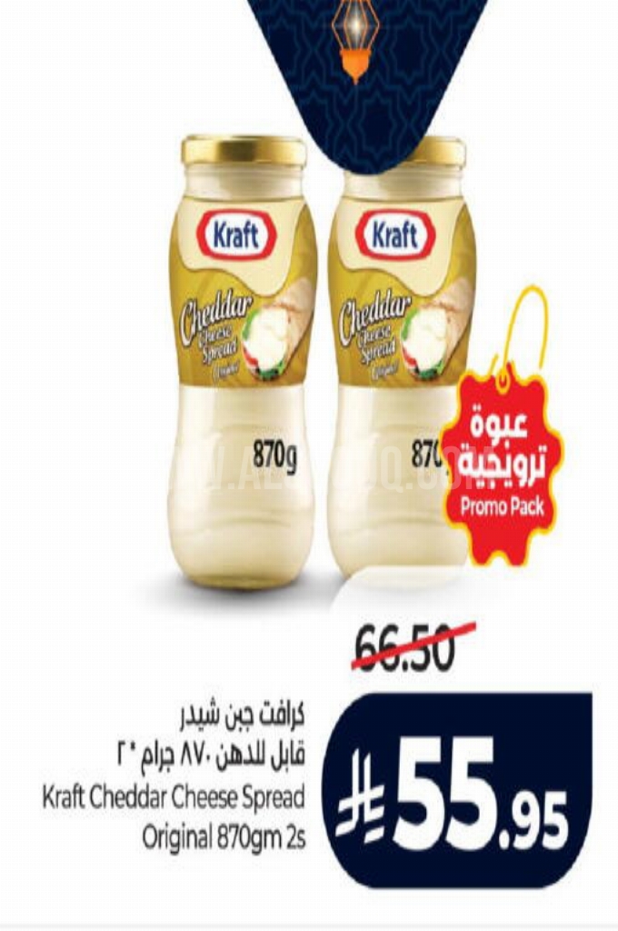 عروض الأجبان والألبان