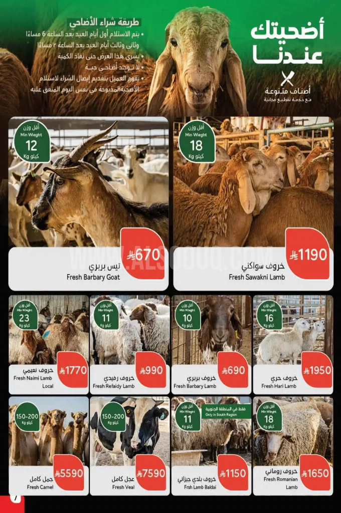 عروض هايبر بنده الأسبوعية 28 مايو 2025 الموافق 1 ذو الحجة 1446 أضحى مبارك 7 db80c9b7b5f5a13f526b