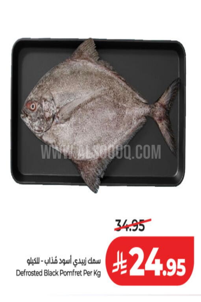 عروض الأسماك