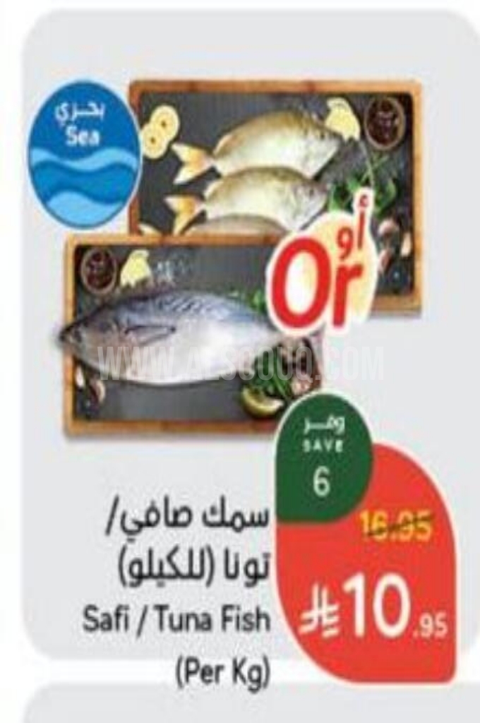 عروض الأسماك