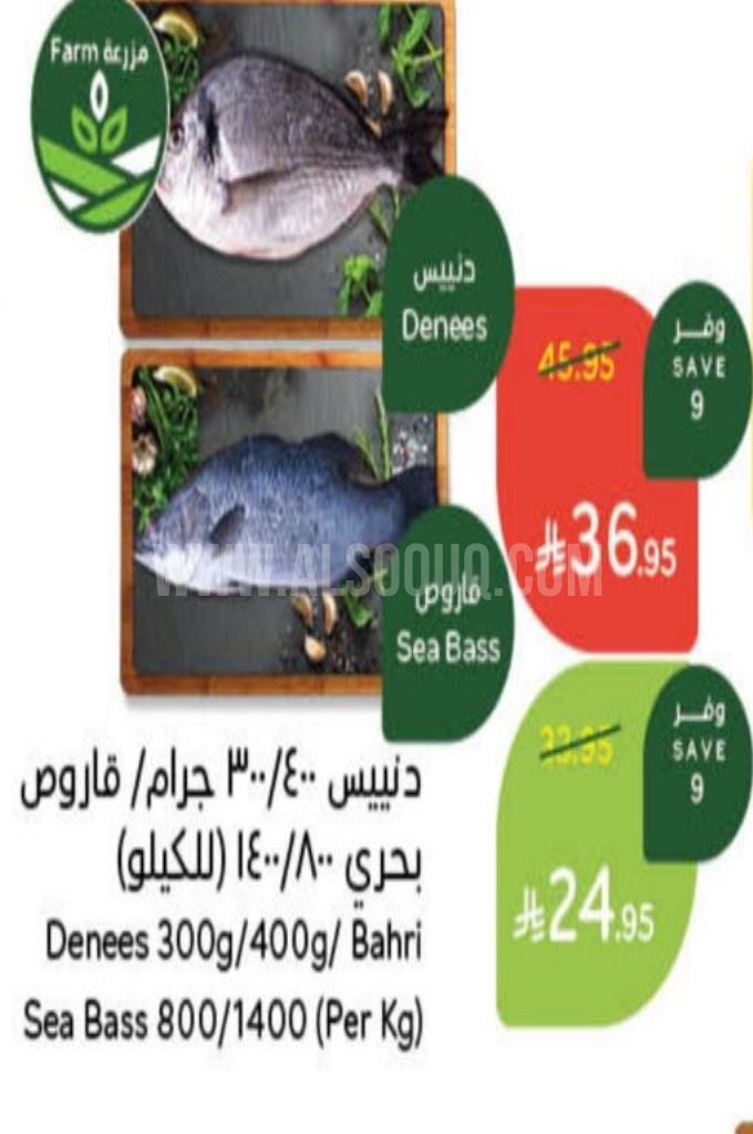 عروض الأسماك عروض الأسماك