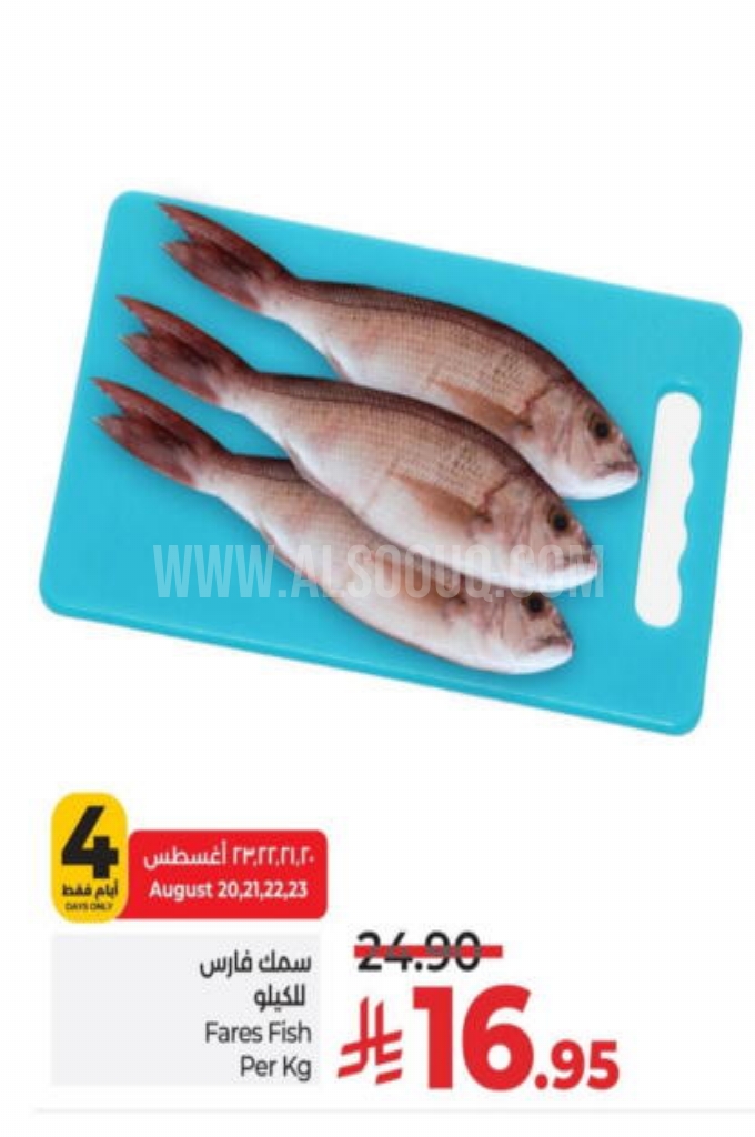 عروض الأسماك