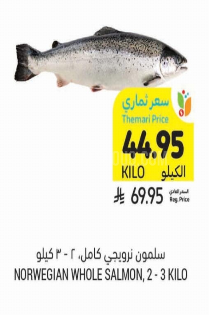 عروض الأسماك 