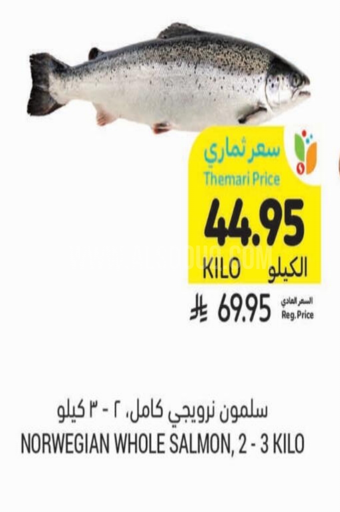 عروض الأسماك
