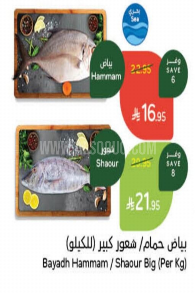 عروض الأسماك عروض الأسماك