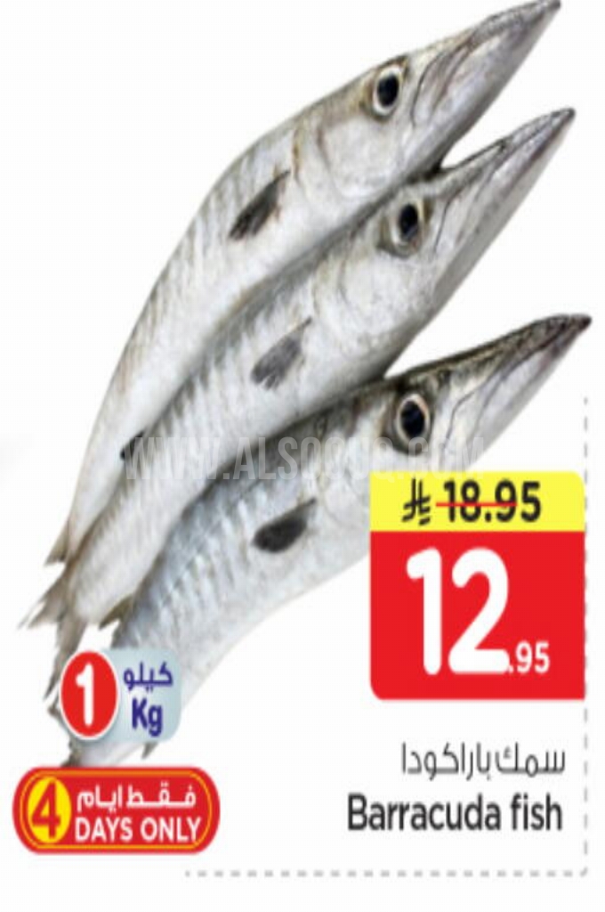 عروض الأسماك
