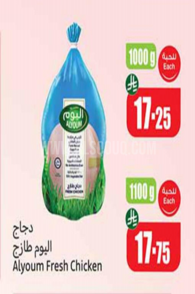 عروض الدجاج