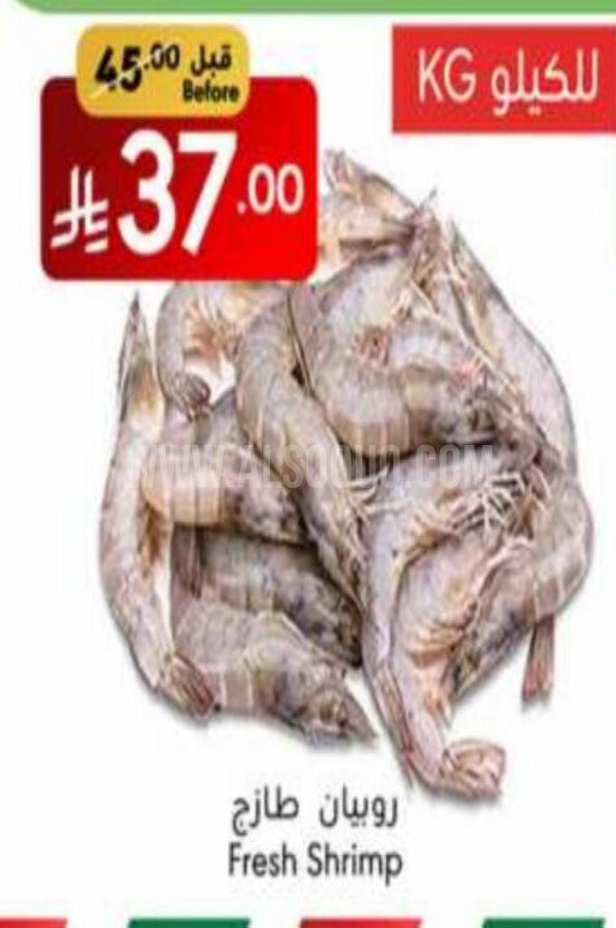 عروض الأسماك