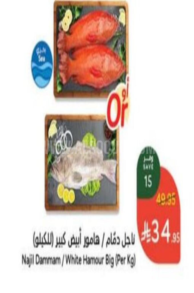 عروض الأسماك